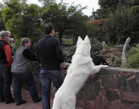 Merlin muss auch mal schauen wie die ausschauen